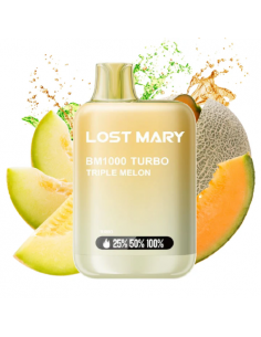 copy of LOST MARY BM600...