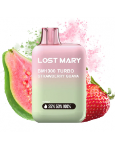 copy of LOST MARY BM600...