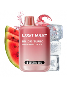 copy of LOST MARY BM600...