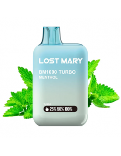 copy of LOST MARY BM600...