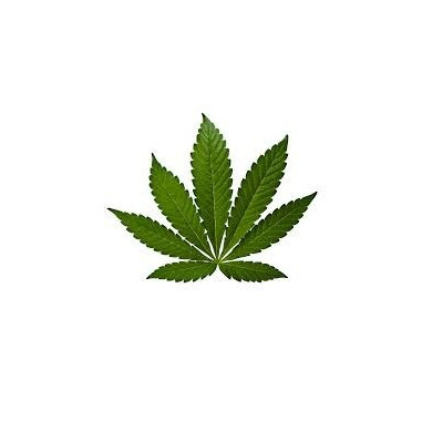 Aroma Cannabis 10ml - VapFip Aroma Cannabis 10ml - VapFip